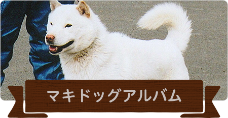 マキドッグの歴史