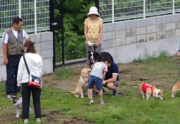 ドッグラン