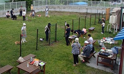 ドッグランの様子