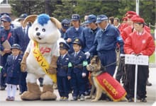 実績写真