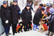 実績写真