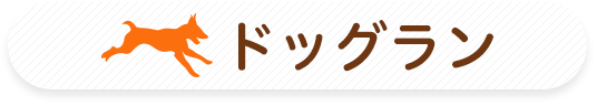 ドッグラン