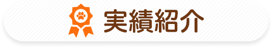 実績紹介