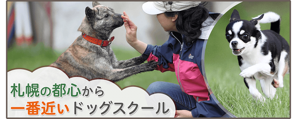 メインイメージ
